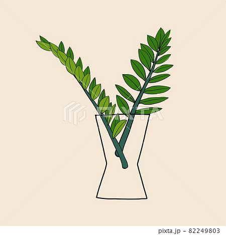 Simplicity zanzibar gem plant simplicity freehand drawing flat design. 82249803