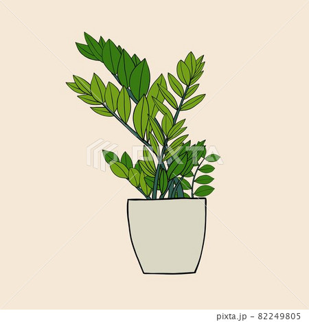 Simplicity zanzibar gem plant simplicity freehand drawing flat design. 82249805