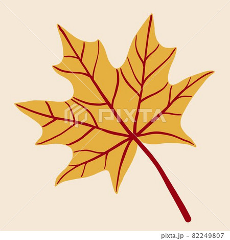 Simplicity maple leaf freehand drawing flat design. 82249807