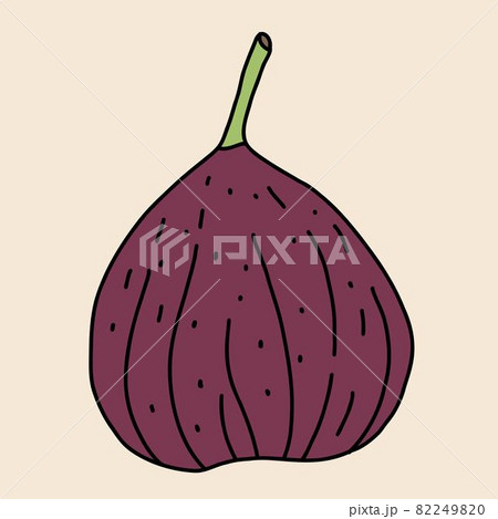Doodle freehand sketch drawing of fig fruit. Doodle freehand sketch drawing of fig fruit. 82249820