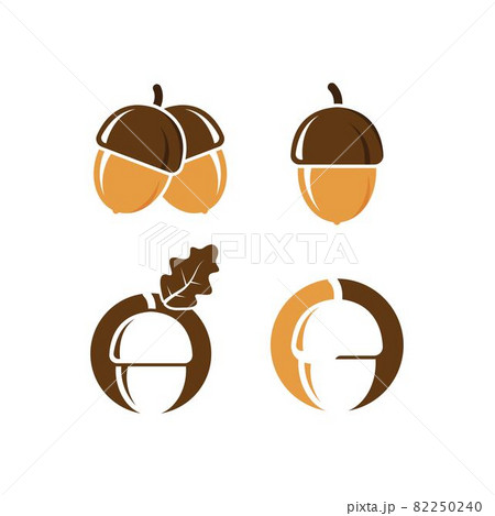 oak acorn vector illustration design 82250240