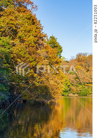 伊豆の瞳　紅葉の一碧湖 82251003
