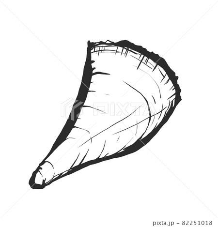 タイラギの手描き筆絵風イラスト タイラギの手描き筆絵風イラスト 82251018