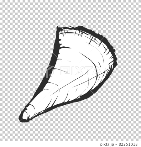 タイラギの手描き筆絵風イラスト タイラギの手描き筆絵風イラスト 82251018