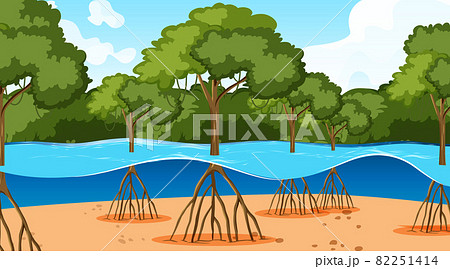 Nature scene with mangrove trees in the water Nature scene with mangrove trees in the water 82251414