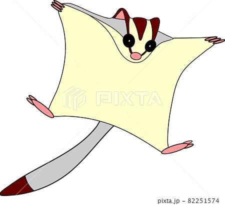 フクロモモンガのイラスト フクロモモンガのイラスト 82251574