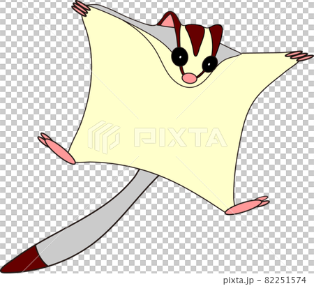 フクロモモンガのイラスト フクロモモンガのイラスト 82251574