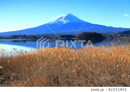 元旦の河口湖大石公園の風景　山梨県河口湖町 82251943