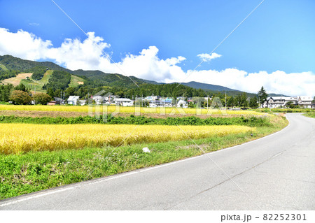 戸狩温泉スキー場方面を望む(長野県飯山市)【2021.9】 戸狩温泉スキー場方面を望む(長野県飯山市)【2021.9】 82252301