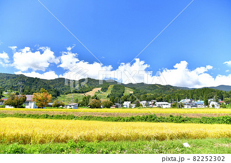 戸狩温泉スキー場方面を望む(長野県飯山市)【2021.9】 戸狩温泉スキー場方面を望む(長野県飯山市)【2021.9】 82252302