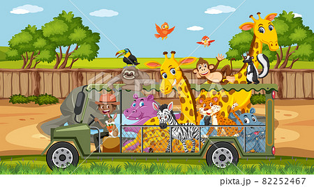 Safari scene at daytime with wild animals on the tourist car Safari scene at daytime with wild animals on the tourist car 82252467