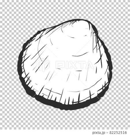 トリガイの手描き筆絵風イラスト トリガイの手描き筆絵風イラスト 82252516