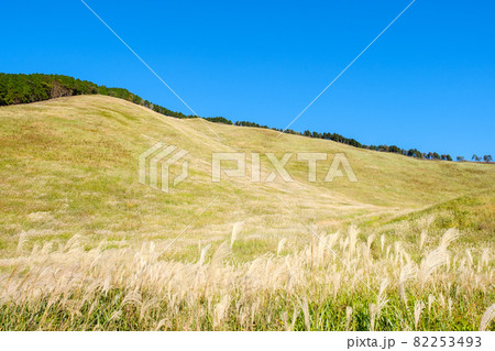 曽爾高原のススキ 青空 秋イメージ 曽爾高原のススキ 青空 秋イメージ 82253493