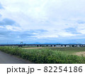 土手から見える橋/ヨコ 82254186