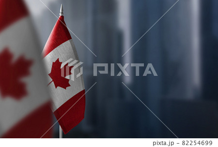 Small flags of Canada on a blurry background of the city Small flags of Canada on a blurry background of the city 82254699