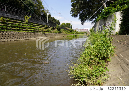 海老名 貫抜川 82255559