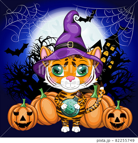Cute cartoon tiger with beautiful eyes, orange in a purple witch's hat, with a broom and pumpkins. Halloween 2022. Cute cartoon tiger with beautiful eyes, orange in a purple witch's hat, with a broom and pumpkins. Halloween 2022. 82255749