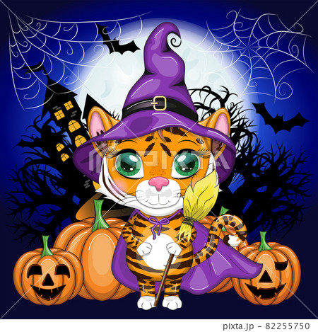Cute cartoon tiger with beautiful eyes, orange in a purple cloak and witch's broom, with a broom and pumpkins. Halloween 2022. Cute cartoon tiger with beautiful eyes, orange in a purple cloak and witch's broom, with a broom and pumpkins. Halloween 2022. 82255750