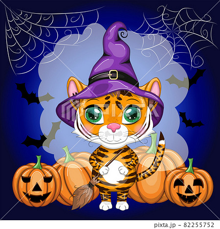 Cute cartoon tiger with beautiful eyes, orange in a purple hat with a broom and pumpkins. Halloween 2022. 82255752