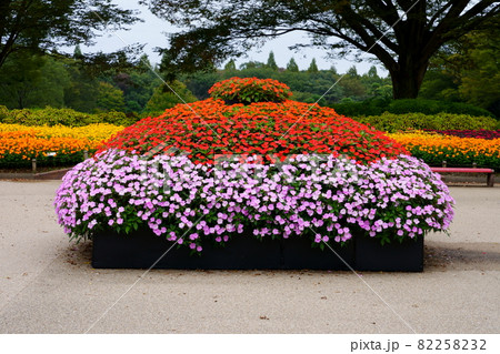 寄せ植えプランター 寄せ植えプランター 82258232