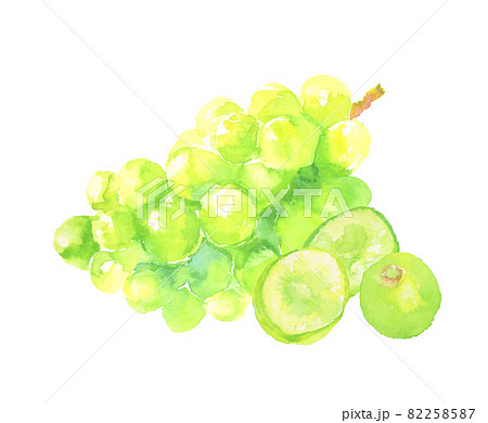 水彩で描いたシャインマスカットのイラストのイラスト素材 [82258587