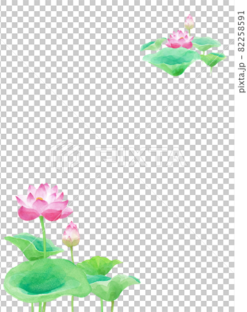 Watercolor illustration of lotus flowers and leaves. Frame decoration. Vector data. Layout can be changed. 82258591