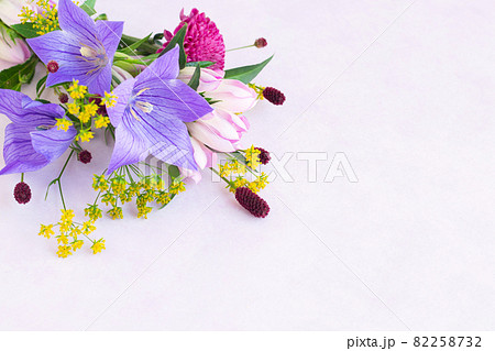 桔梗、りんどう、ワレモコウ 82258732