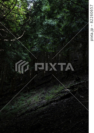 観音峯山　山道 82260657