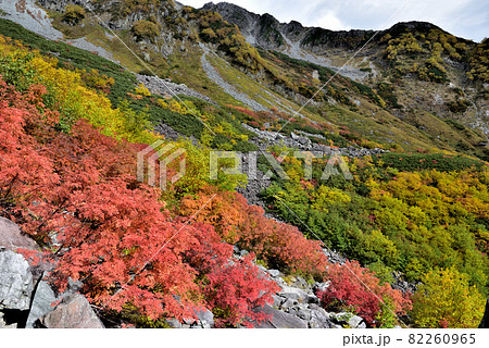 絶景紅葉 錦秋の北アルプス・涸沢への道 絶景紅葉 錦秋の北アルプス・涸沢への道 82260965