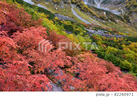 絶景紅葉 錦秋の北アルプス・涸沢への道 絶景紅葉 錦秋の北アルプス・涸沢への道 82260971