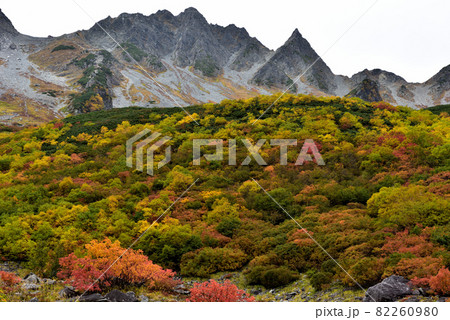 絶景紅葉 錦秋の北アルプス・涸沢への道 絶景紅葉 錦秋の北アルプス・涸沢への道 82260980