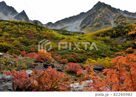 絶景紅葉　錦秋の北アルプス・涸沢への道 82260982