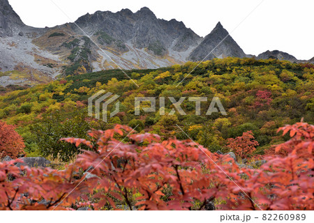 絶景紅葉　錦秋の北アルプス・涸沢への道 82260989