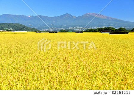 五郎兵衛新田より浅間山方面を望む(長野県佐久市)【2021.9】 82261215