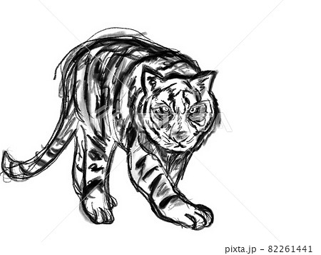 カッコいいモノクロの虎のイラスト 干支で使える素材 のイラスト素材 カッコいいモノクロの虎のイラスト 干支で使える素材 のイラスト素材