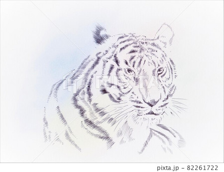 ペン画のトラ 82261722