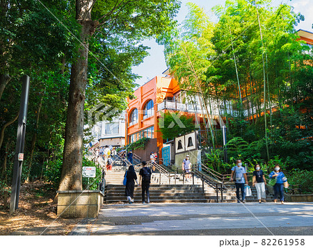 東京 吉祥寺 井の頭公園 東京 吉祥寺 井の頭公園 82261958