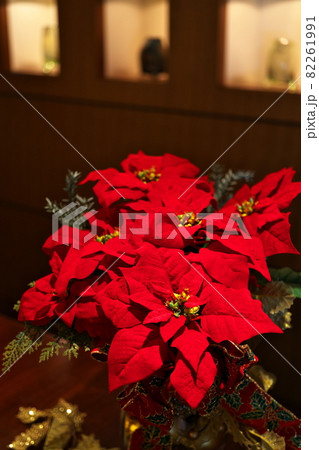 深紅のポインセチアを飾る部屋 82261991