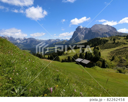 イタリア ドロミテ地方のアルペ・ディ・シウジ イタリア ドロミテ地方のアルペ・ディ・シウジ 82262458
