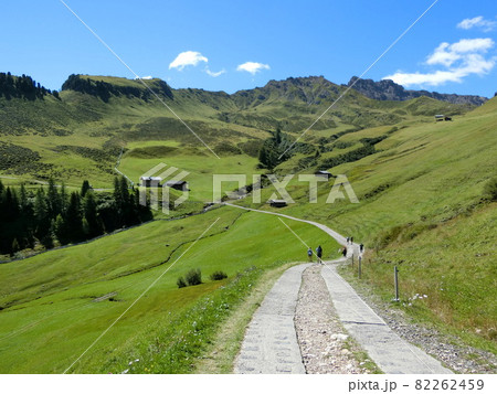 イタリア　ドロミテ地方のアルペ・ディ・シウジ 82262459