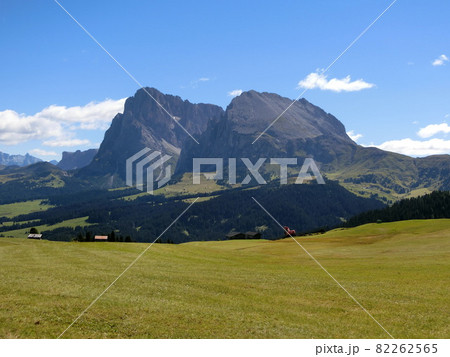 イタリア ドロミテ地方のアルペ・ディ・シウジ イタリア ドロミテ地方のアルペ・ディ・シウジ 82262565