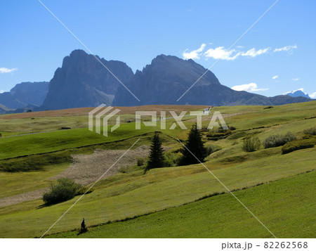 イタリア　ドロミテ地方のアルペ・ディ・シウジ 82262568