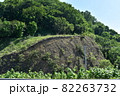 土がむき出しののり面 82263732