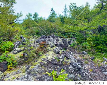 火山岩1 富士山 火山岩1 富士山 82264181