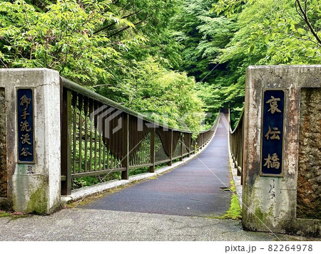 みたらい渓谷 哀伝橋 みたらい渓谷 哀伝橋 82264978