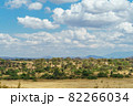 綺麗な青空と雲と樹木が広がるタンザニアのタランギレ国立公園の雄大な風景 82266034