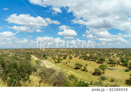 青い空と大きな雲と大地がどこまでも続くタンザニアのタランギレ国立公園の雄大な風景 82266039