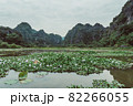 Scenic view of beautiful karst scenery and rice paddy fields 82266055
