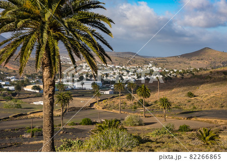 small town La Haria. Lanzarote. Canary Islands. Spain 82266865