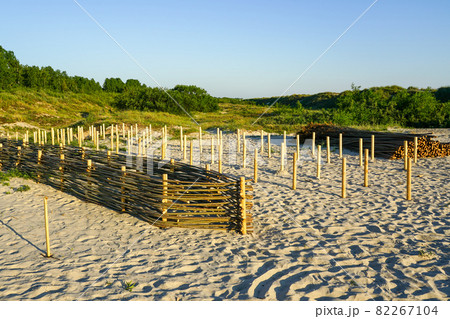 construction of a wooden branch barrier to prevent the movement of sand dunes construction of a wooden branch barrier to prevent the movement of sand dunes 82267104
